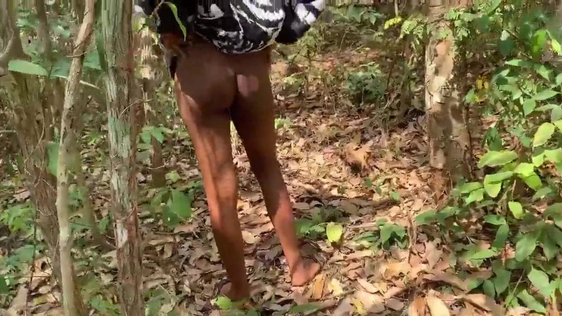universitair docent neukt zijn student in de bush om haar voldoende te geven voor haar examens